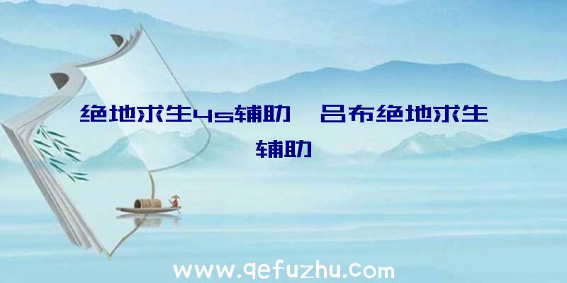 绝地求生4s辅助、吕布绝地求生辅助