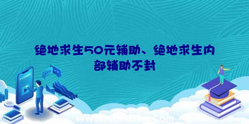 绝地求生50元辅助、绝地求生内部辅助不封