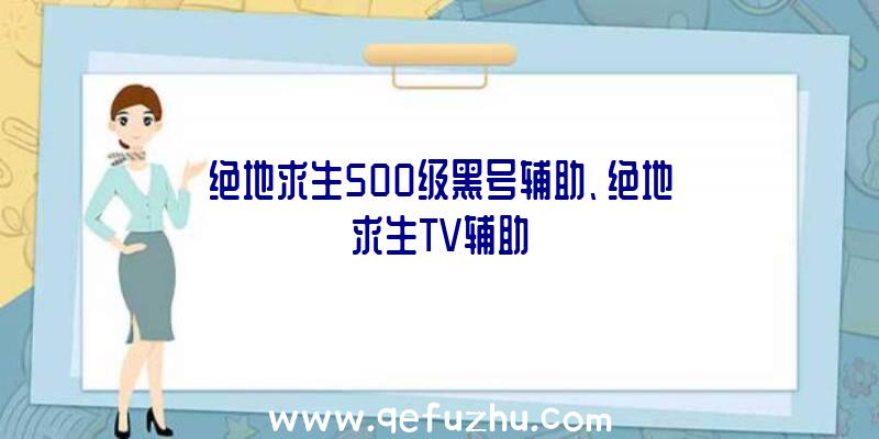 绝地求生500级黑号辅助、绝地求生TV辅助