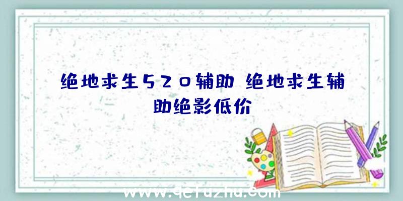 绝地求生520辅助、绝地求生辅助绝影低价