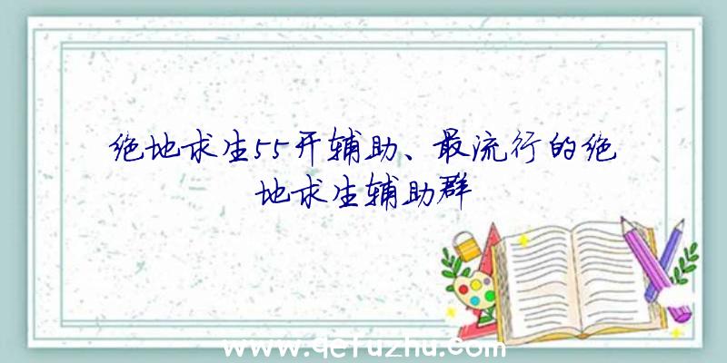 绝地求生55开辅助、最流行的绝地求生辅助群