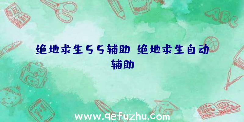 绝地求生55辅助、绝地求生自动辅助