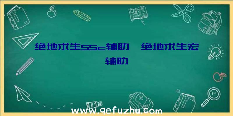 绝地求生55c辅助、绝地求生宏辅助