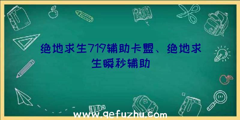 绝地求生719辅助卡盟、绝地求生瞬秒辅助