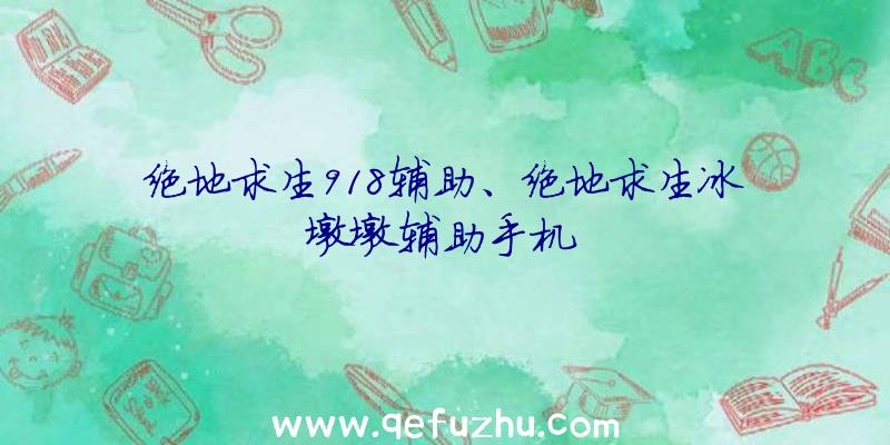 绝地求生918辅助、绝地求生冰墩墩辅助手机