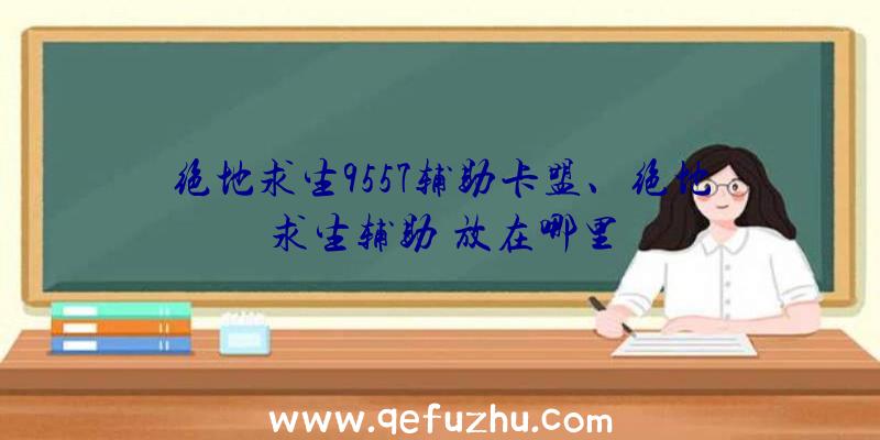 绝地求生9557辅助卡盟、绝地求生辅助