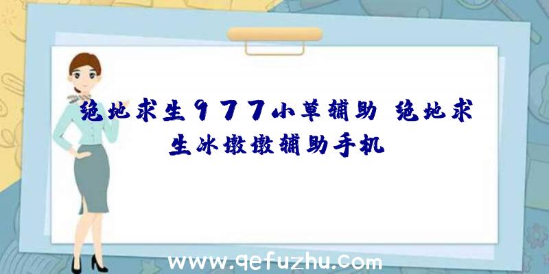 绝地求生977小草辅助、绝地求生冰墩墩辅助手机