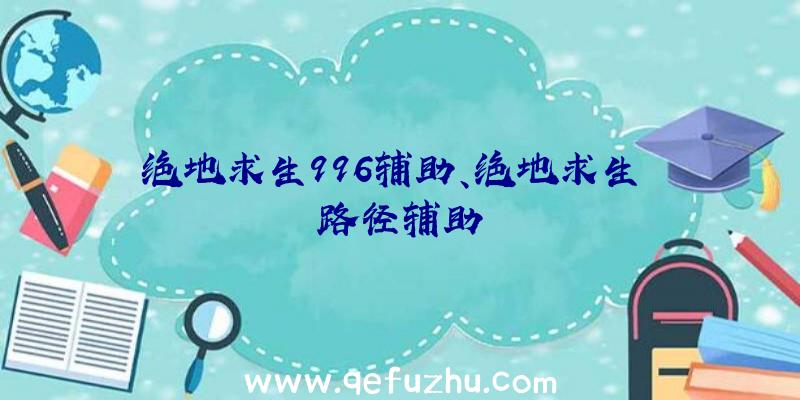 绝地求生996辅助、绝地求生