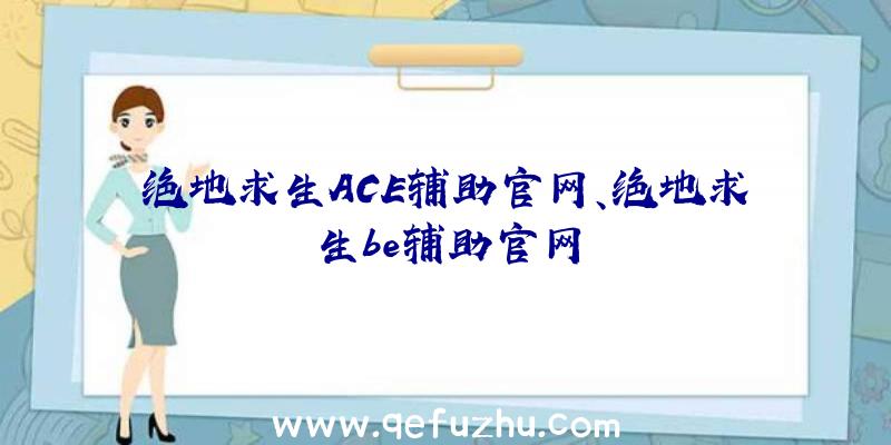 绝地求生ACE辅助官网、绝地求生be辅助官网