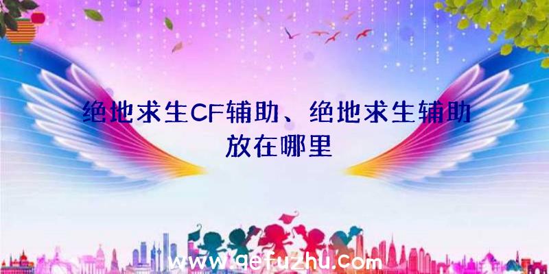 绝地求生CF辅助、绝地求生辅助