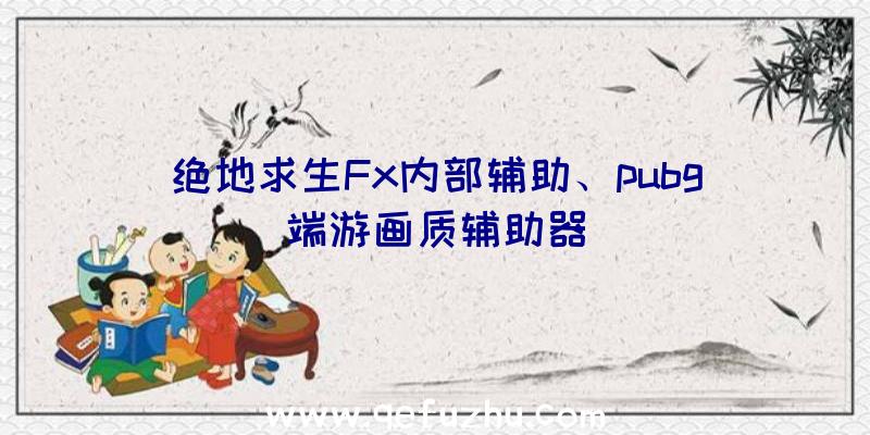 绝地求生Fx内部辅助、pubg端游画质辅助器