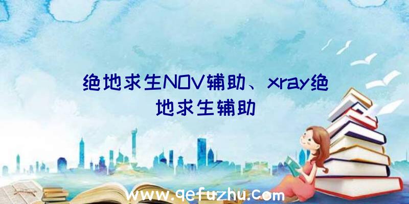 绝地求生NOV辅助、xray绝地求生辅助