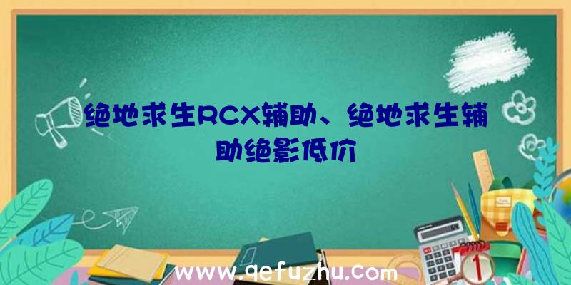 绝地求生RCX辅助、绝地求生辅助绝影低价