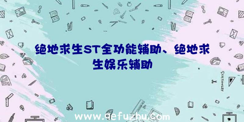 绝地求生ST全功能辅助、绝地求生娱乐辅助