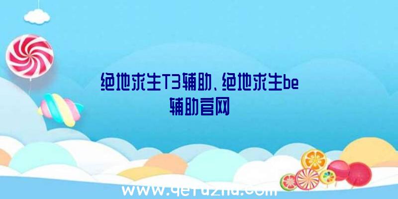 绝地求生T3辅助、绝地求生be辅助官网