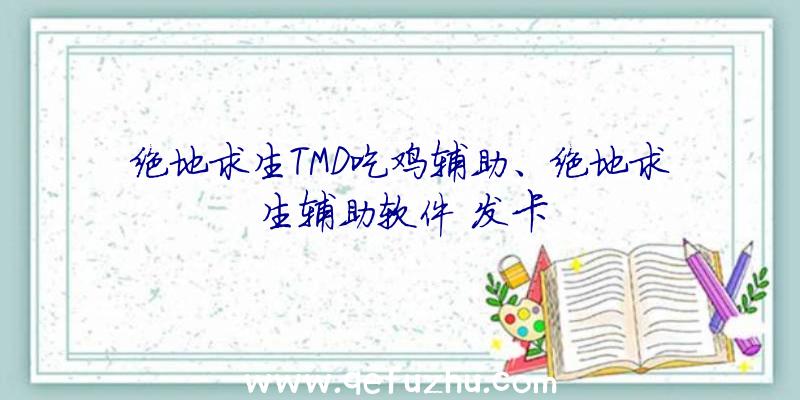 绝地求生TMD吃鸡辅助、绝地求生辅助软件