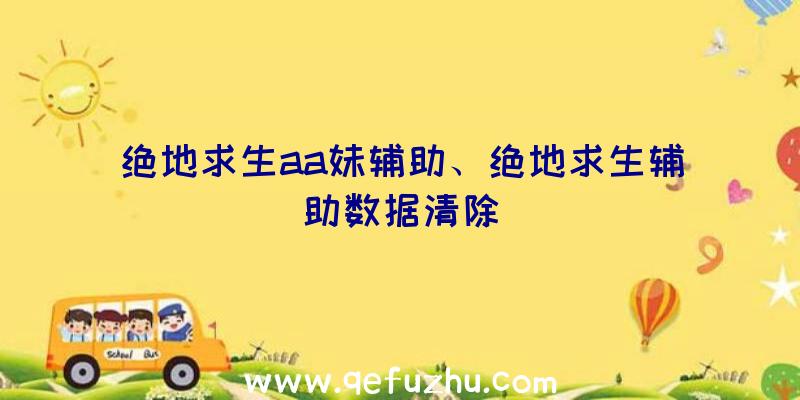 绝地求生aa妹辅助、绝地求生辅助数据清除