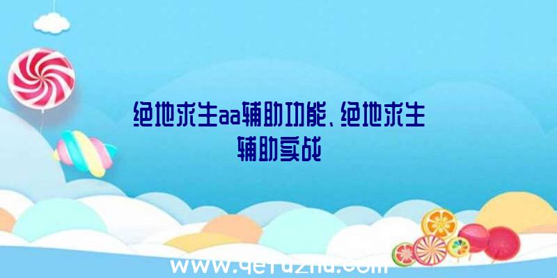 绝地求生aa辅助功能、绝地求生辅助实战