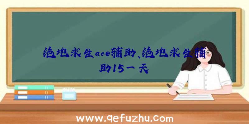 绝地求生ace辅助、绝地求生辅助15一天