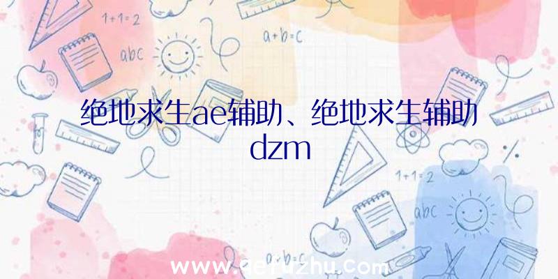 绝地求生ae辅助、绝地求生辅助dzm