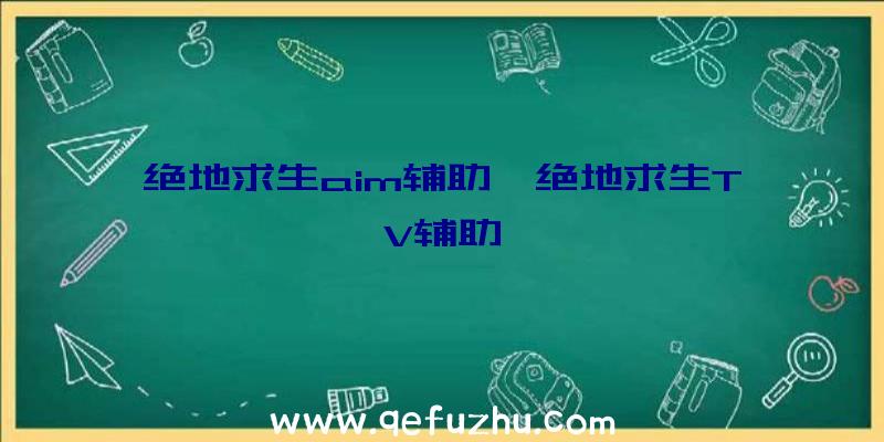 绝地求生aim辅助、绝地求生TV辅助