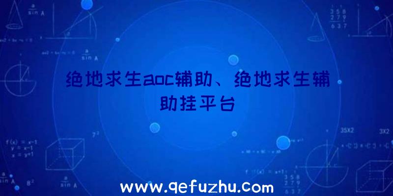 绝地求生aoc辅助、绝地求生辅助挂平台