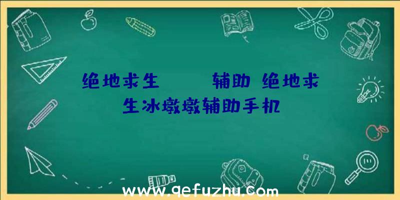 绝地求生apple辅助、绝地求生冰墩墩辅助手机