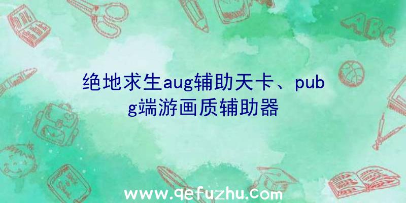 绝地求生aug辅助天卡、pubg端游画质辅助器