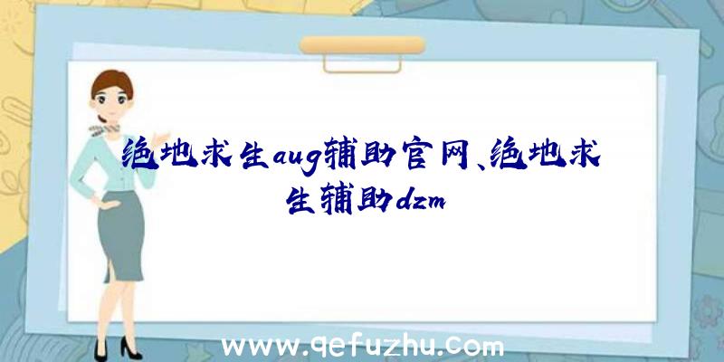 绝地求生aug辅助官网、绝地求生辅助dzm