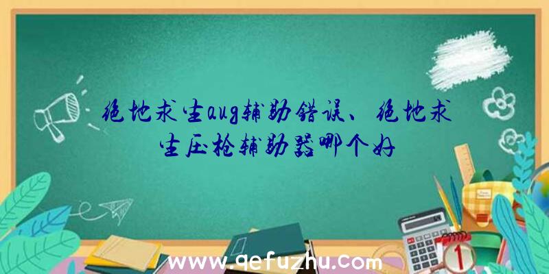 绝地求生aug辅助错误、绝地求生压枪辅助器哪个好