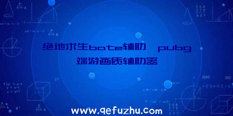 绝地求生bate辅助、pubg端游画质辅助器