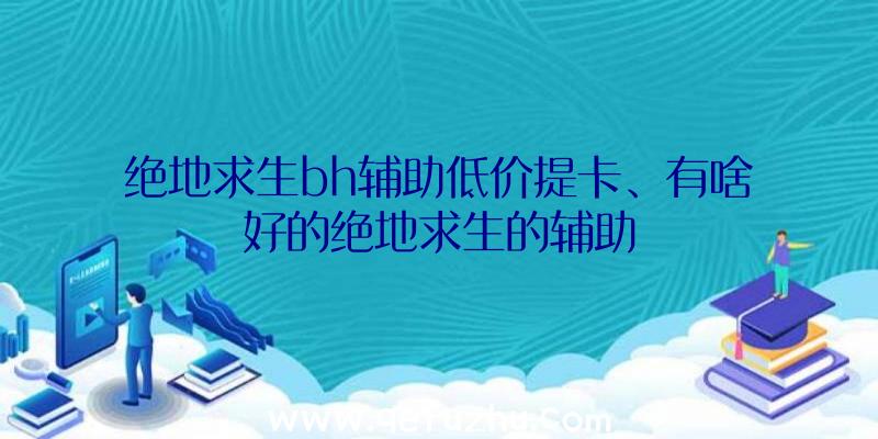 绝地求生bh辅助低价提卡、有啥好的绝地求生的辅助