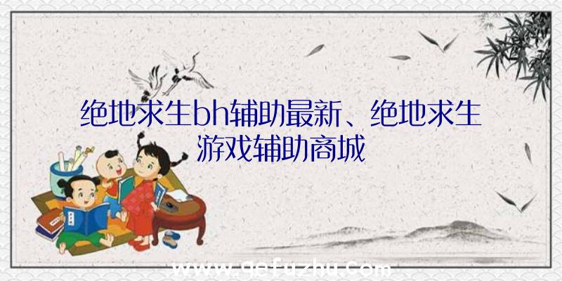 绝地求生bh辅助最新、绝地求生游戏辅助商城