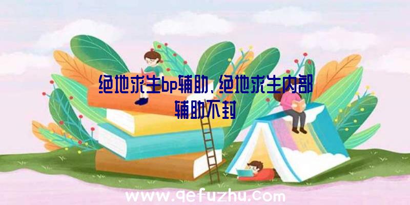 绝地求生bp辅助、绝地求生内部辅助不封