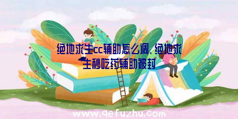 绝地求生cc辅助怎么调、绝地求生秒吃药辅助被封