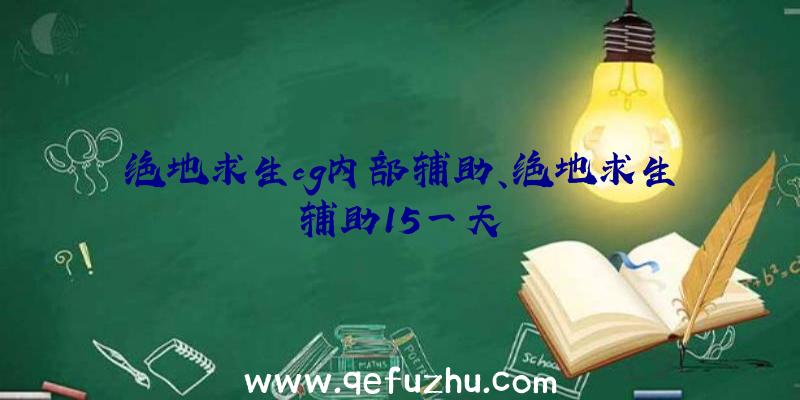 绝地求生cg内部辅助、绝地求生辅助15一天