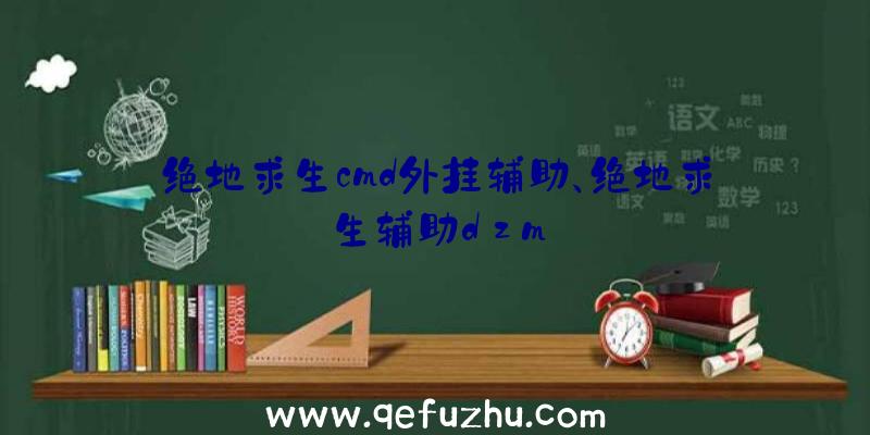 绝地求生cmd外挂辅助、绝地求生辅助dzm