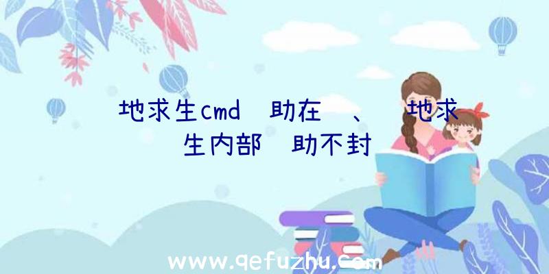 绝地求生cmd辅助在线、绝地求生内部辅助不封