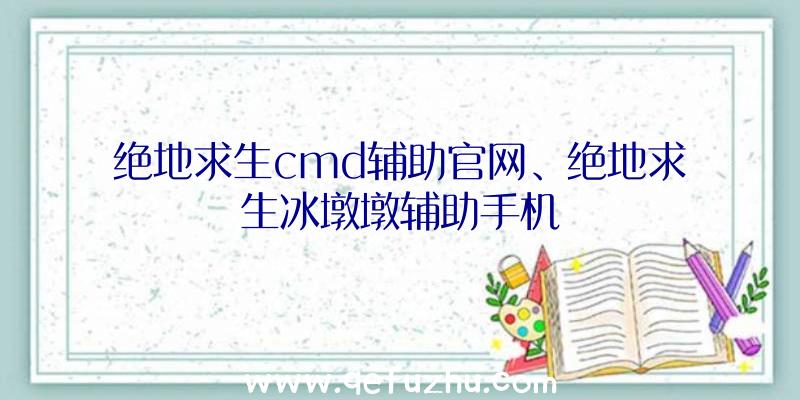 绝地求生cmd辅助官网、绝地求生冰墩墩辅助手机