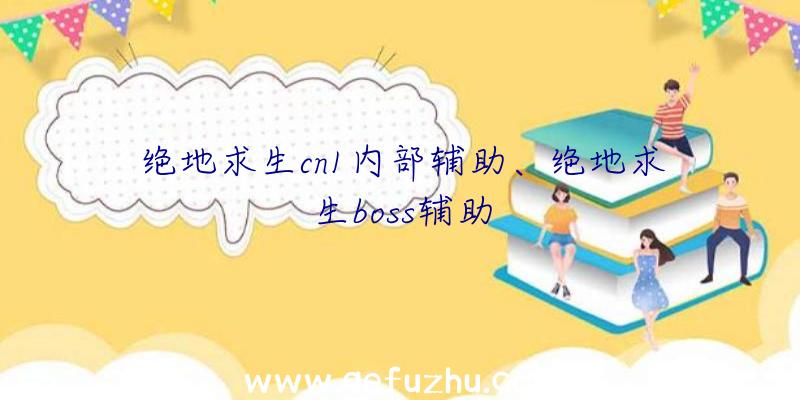 绝地求生cn1内部辅助、绝地求生boss辅助