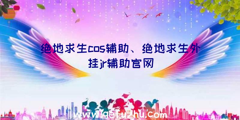 绝地求生cos辅助、绝地求生外挂jr辅助官网