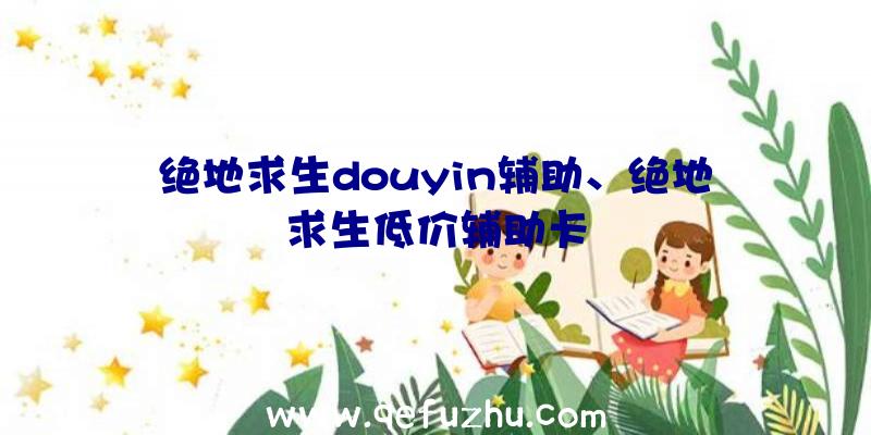 绝地求生douyin辅助、绝地求生低价辅助卡