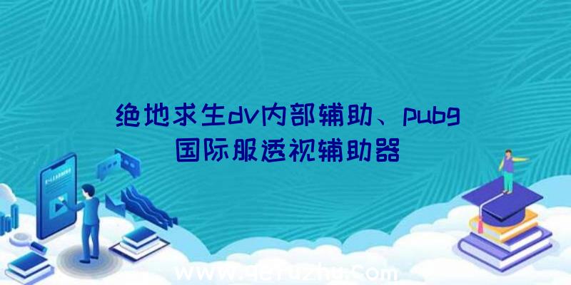 绝地求生dv内部辅助、pubg国际服透视辅助器