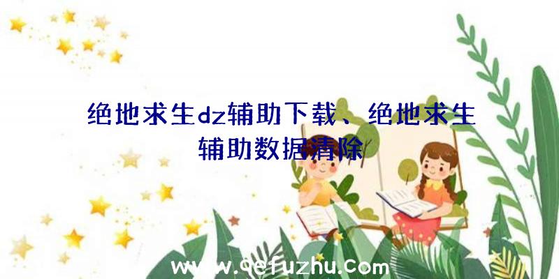 绝地求生dz辅助下载、绝地求生辅助数据清除