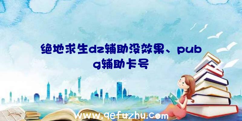 绝地求生dz辅助没效果、pubg辅助卡号