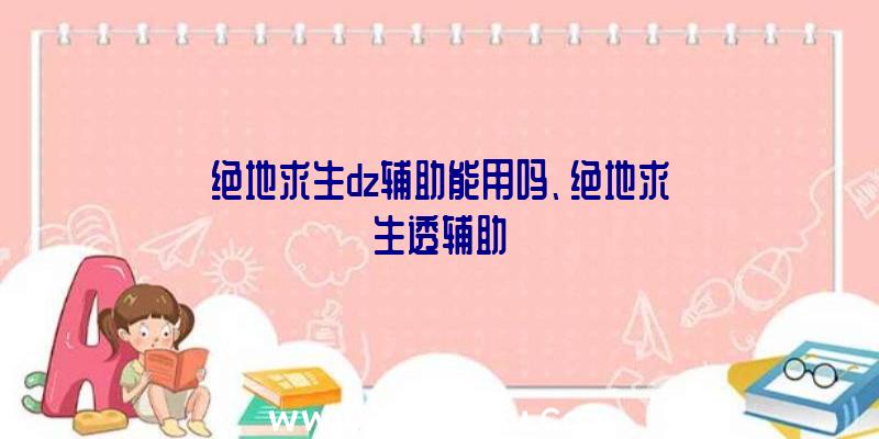 绝地求生dz辅助能用吗、绝地求生透辅助