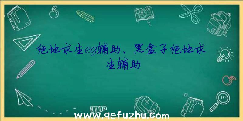 绝地求生eg辅助、黑盒子绝地求生辅助