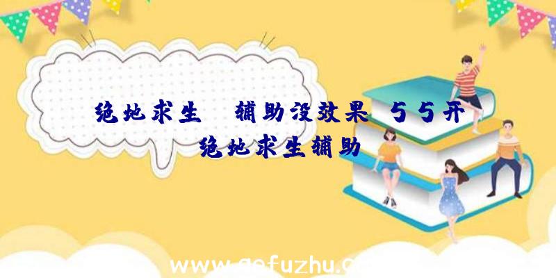 绝地求生ez辅助没效果、55开绝地求生辅助