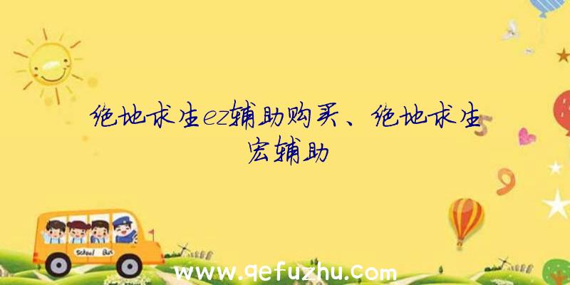 绝地求生ez辅助购买、绝地求生宏辅助