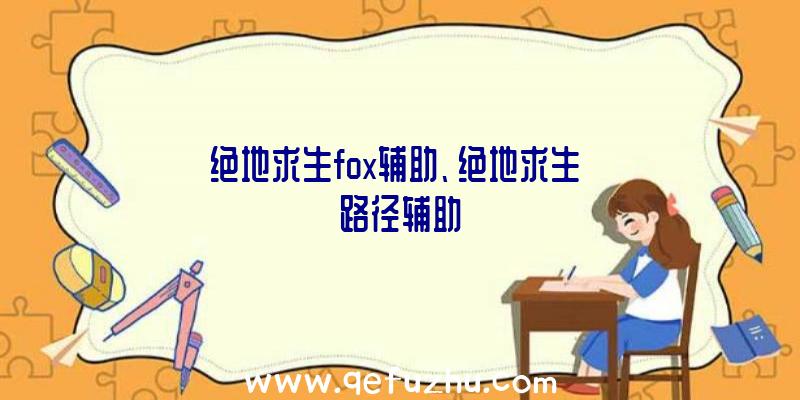 绝地求生fox辅助、绝地求生